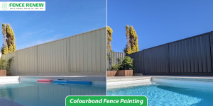 Colourbond fence painting